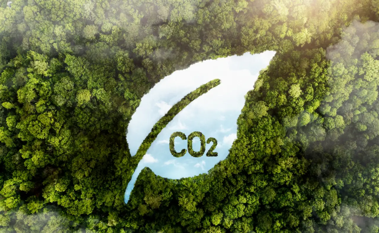 carbon offset
